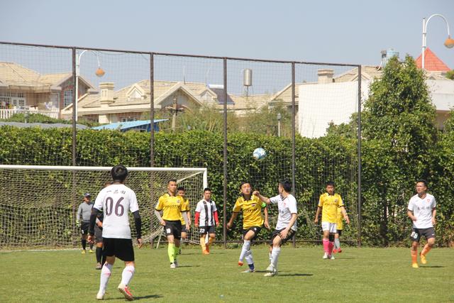 媒体人：杨鸣回归辽篮 是现教练乌戈主动请求