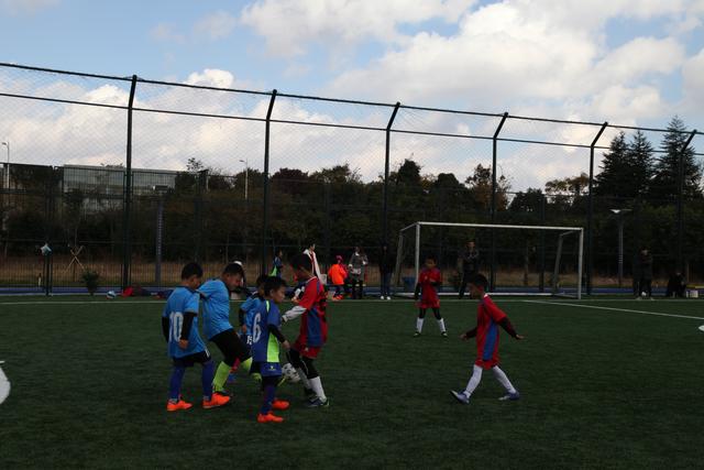 赔率:中国男篮战小组最强对手无悬念 少输当赢